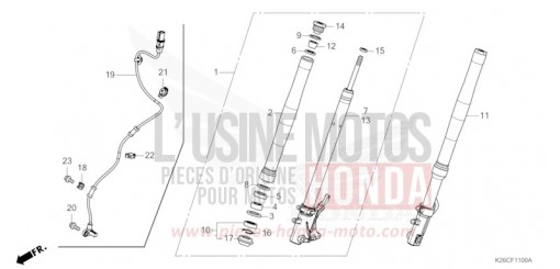 FOURCHETTE AVANT MSX125AR de 2024